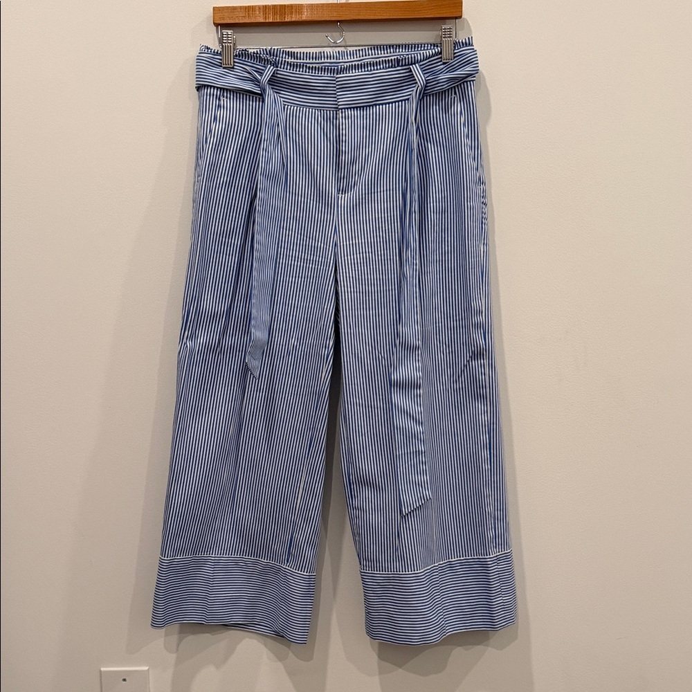 Banana Republic Blue Striped Cropped Pants